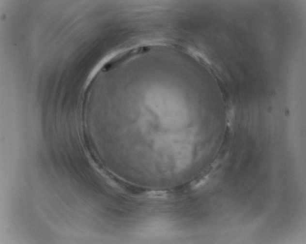 X0000075810052200610061742