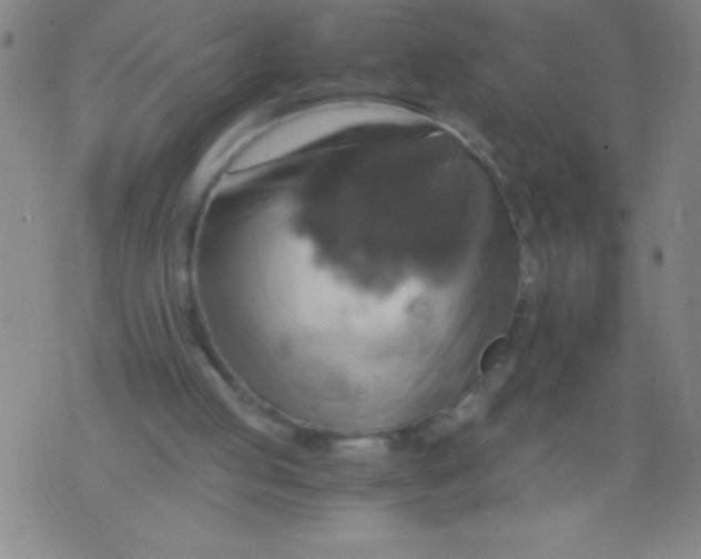 X0000075810053200610061742