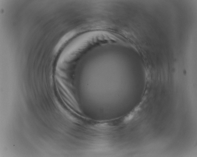 X0000075810054200610061742