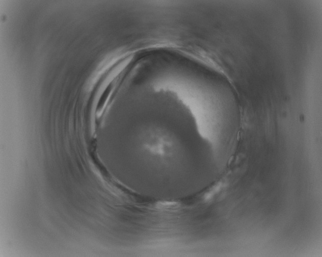 X0000075810055200610061742