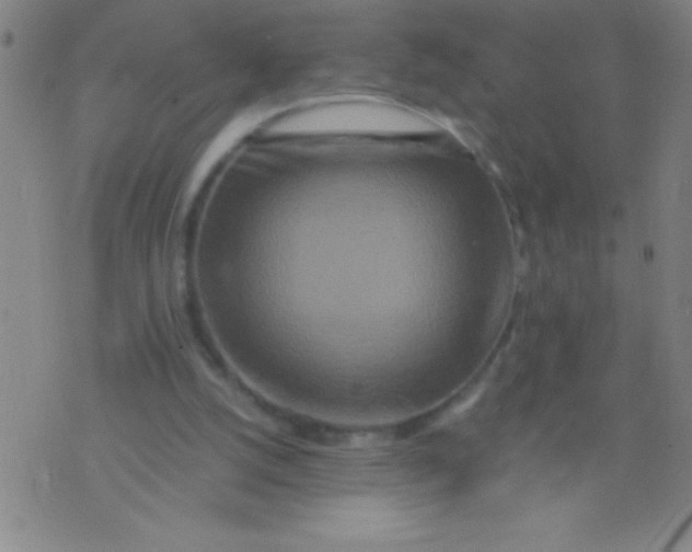 X0000075810056200610061742