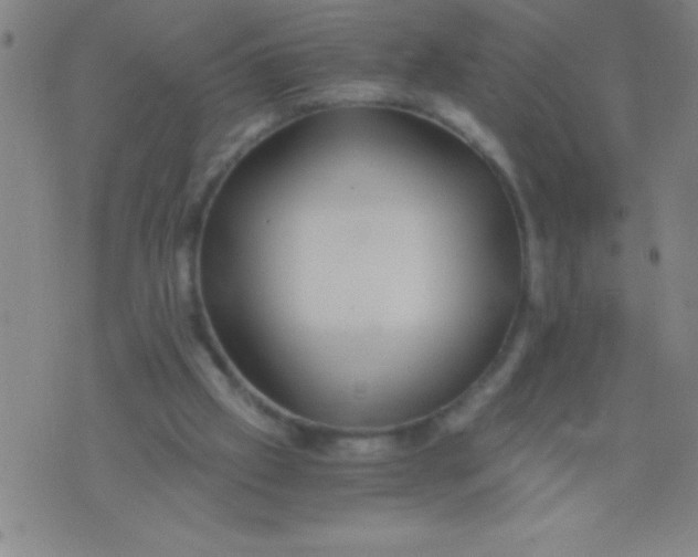 X0000075810057200610061742