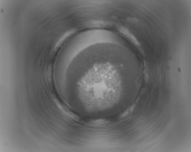 X0000075810058200610061742