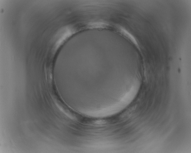 X0000075810059200610061742