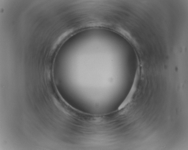 X0000075810060200610061742