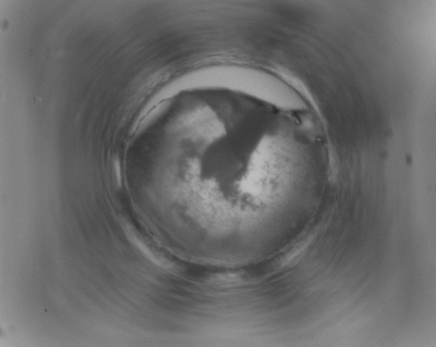 X0000075810061200610061742