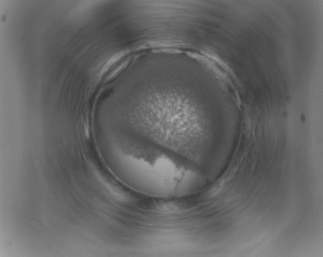 X0000075810062200610061742