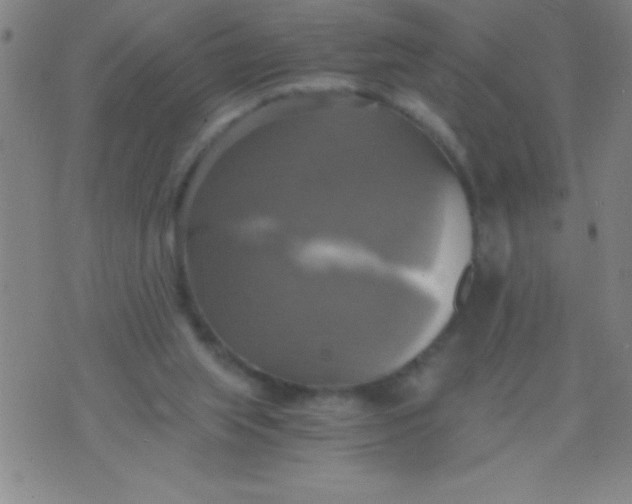 X0000075810063200610061742