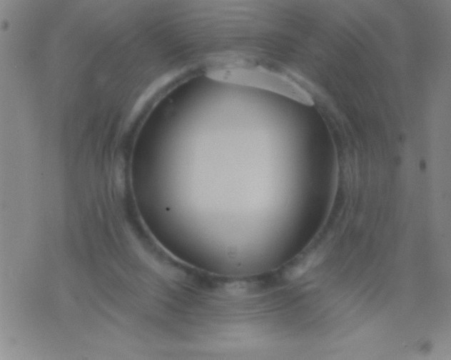 X0000075810064200610061742