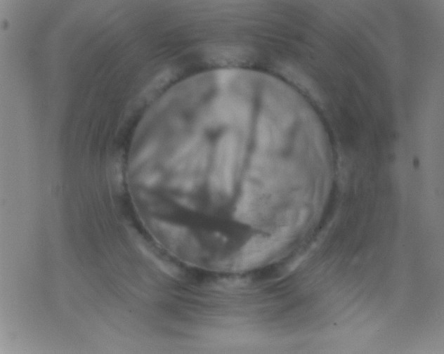 X0000075810065200610061742