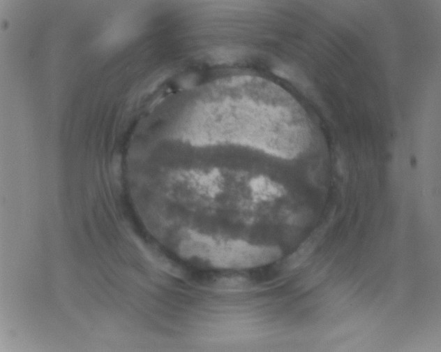 X0000075810066200610061742