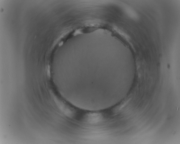 X0000075810067200610061742