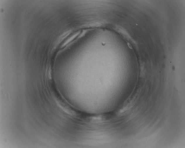 X0000075810068200610061742