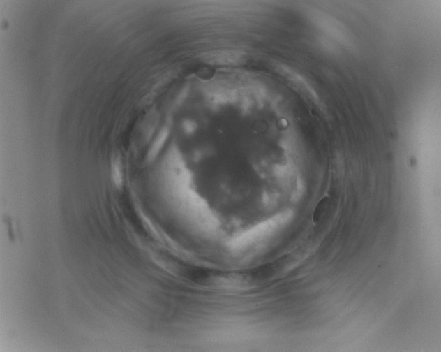 X0000075810069200610061742