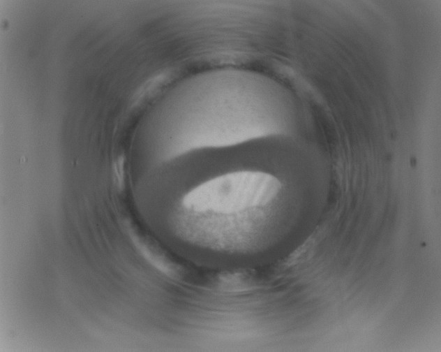 X0000075810070200610061742