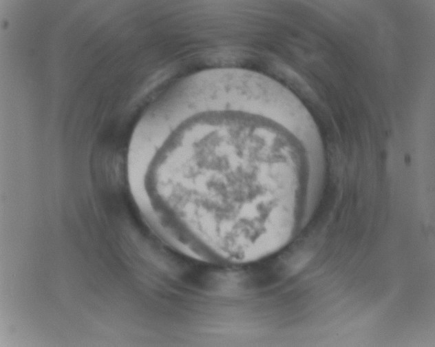 X0000075810071200610061742