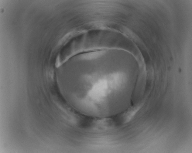 X0000075810072200610061742