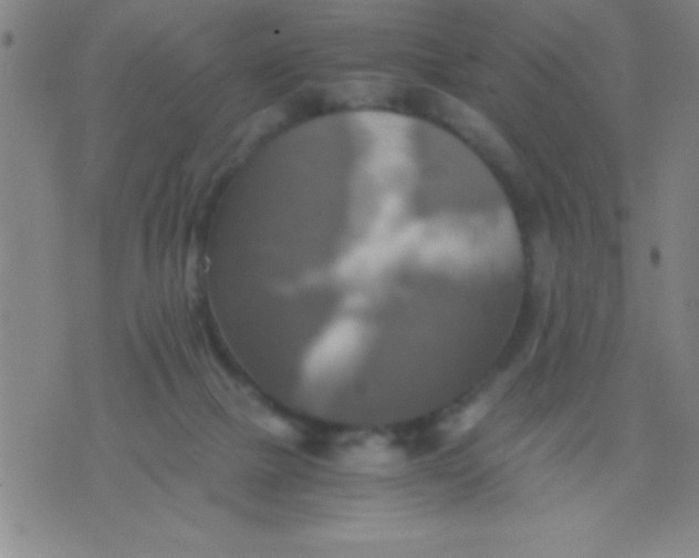 X0000075810073200610061742