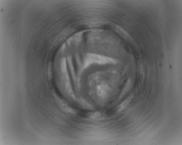 X0000075810074200610061742