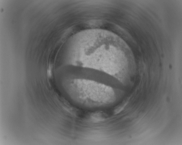 X0000075810075200610061742