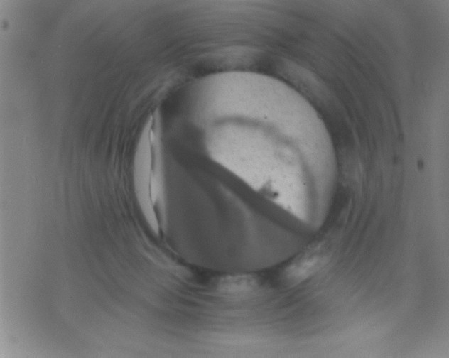 X0000075810077200610061742