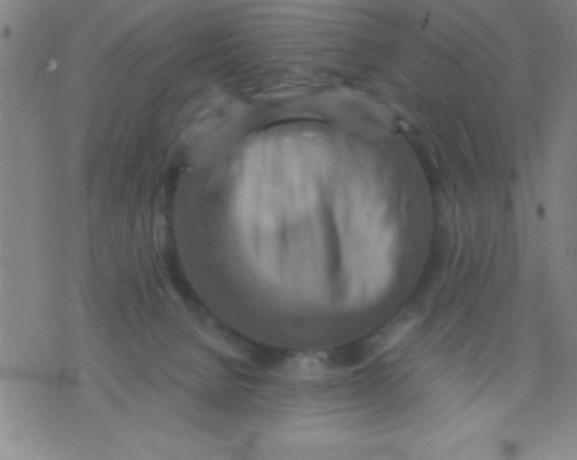 X0000075810080200610061742