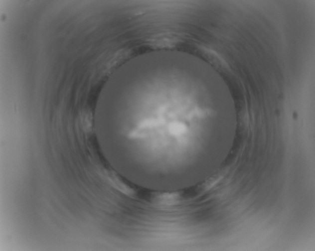 X0000075810081200610061742