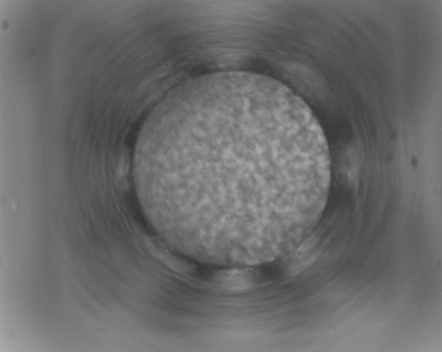 X0000075810082200610061742