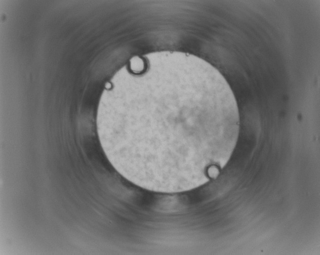 X0000075810083200610061742