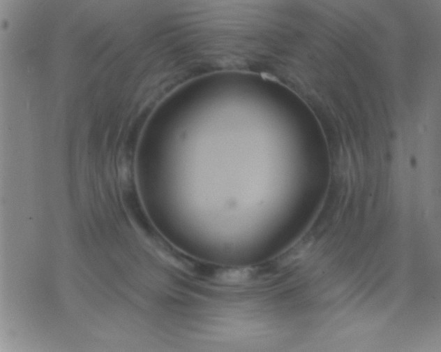 X0000075810084200610061742