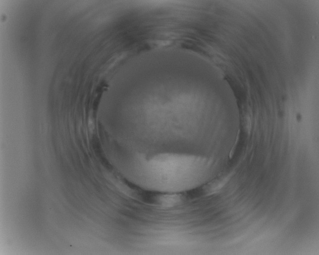 X0000075810085200610061742