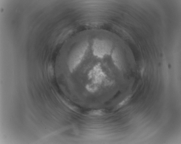 X0000075810086200610061742