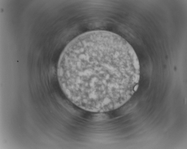 X0000075810087200610061742