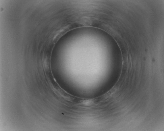 X0000075810088200610061742