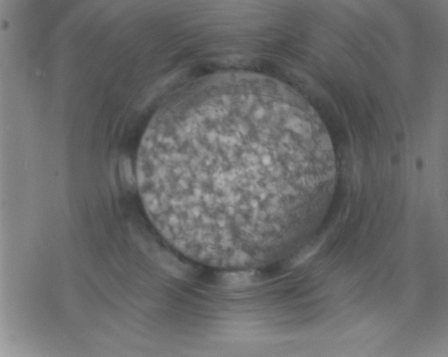 X0000075810089200610061742