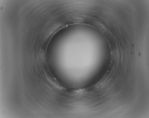 X0000075810092200610061742