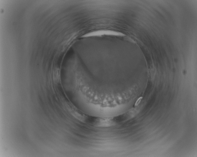 X0000075810093200610061742