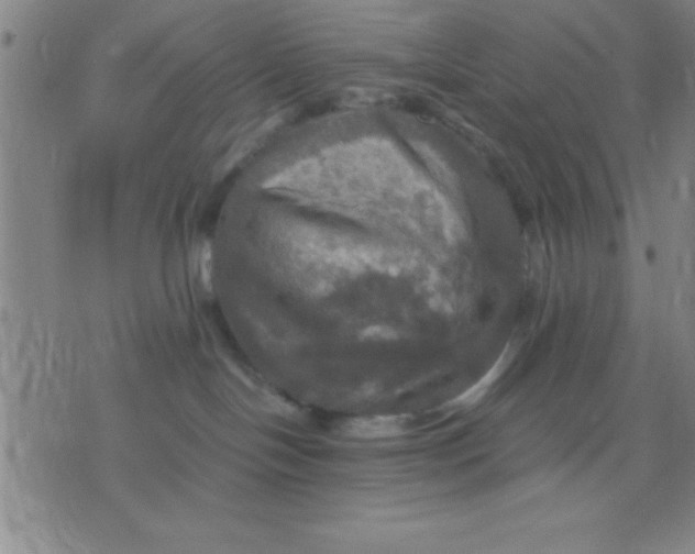 X0000075810094200610061742