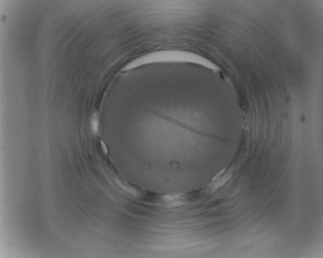 X0000075810095200610061742