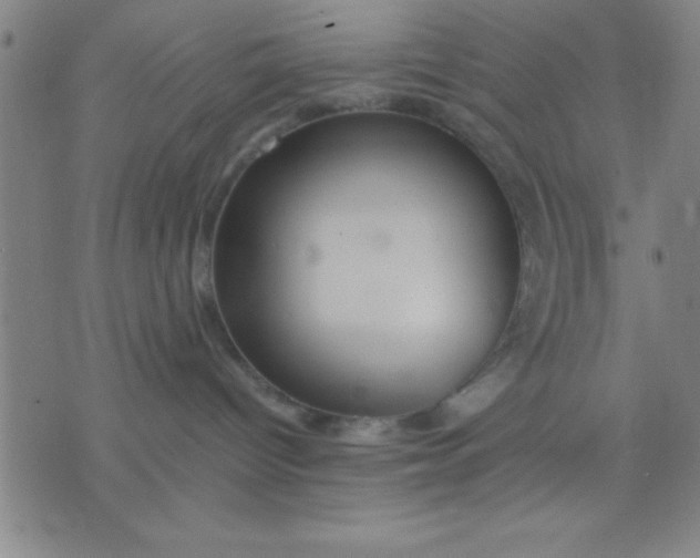 X0000075810096200610061742