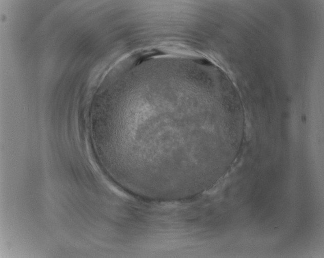 X0000075810097200610061742