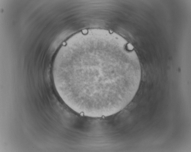 X0000075810098200610061742