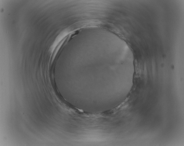 X0000075810099200610061742