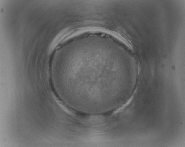 X0000075810101200610061742