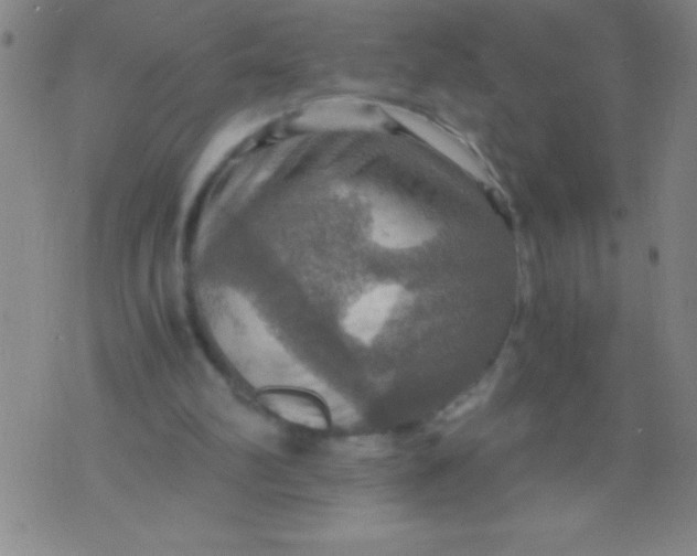 X0000075810102200610061742