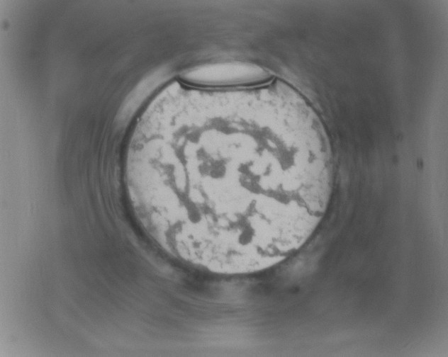 X0000075810103200610061742