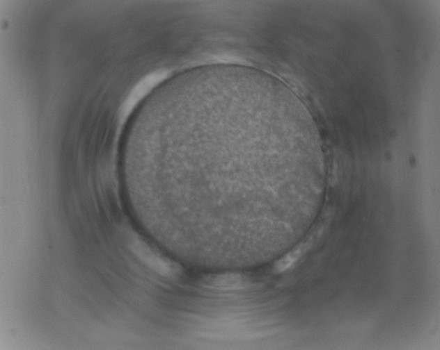 X0000075810104200610061742