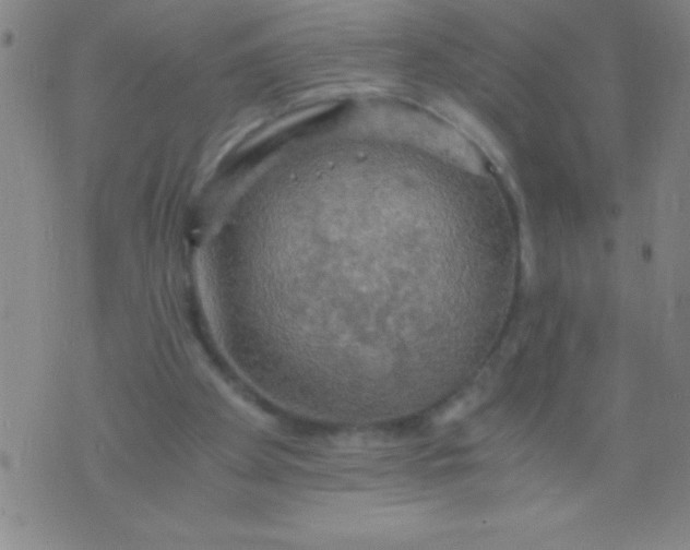 X0000075810105200610061742