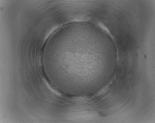 X0000075810106200610061742