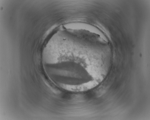 X0000075810107200610061742